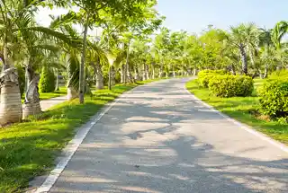 Jogging Track